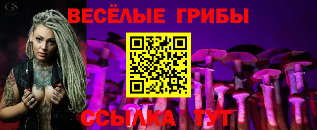 Псилоцибиновые грибы GOLDEN TEACHER Пенза